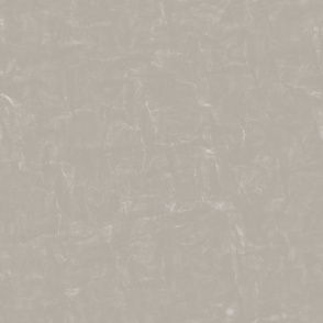 distressed paint texture - cloudy silver taupe - neutral faux finish