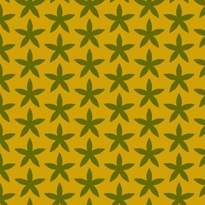 Green-star-flowers-on-olive