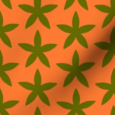 Green-star-flowers-on-orange