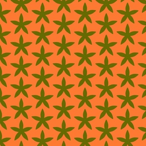 Green-star-flowers-on-orange