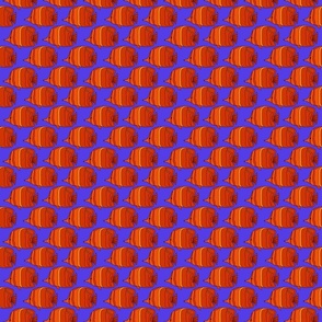 2265_orange-red_fish_blue-bkgrnd