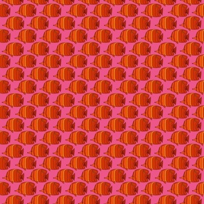 2269_orange-red_fish_pink-bkgrnd