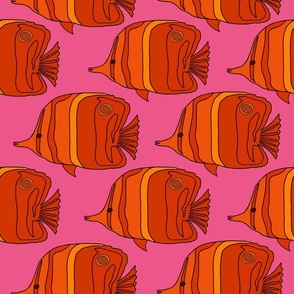2270_orange-red_fish_pink-bkgrnd