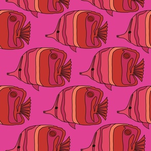 2278_red-orange_fish_pink-bkgrnd