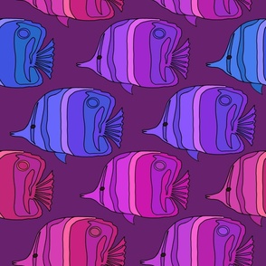2284_pink-blue-lavender_fish_purple-bkgrnd