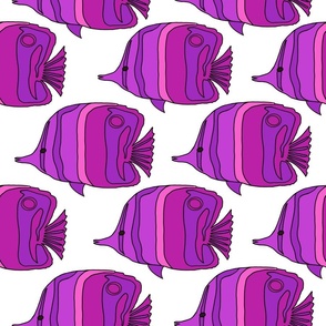 2290_purple-lavender_fish_white-bkgrnd