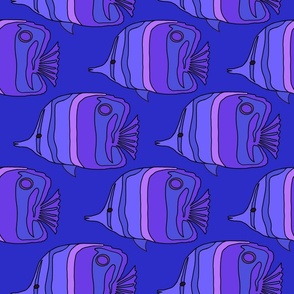 2296_purple-lavender-pink_fish_blue-bkgrnd