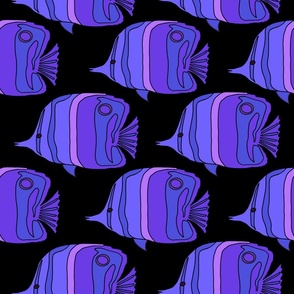 2298_purple-lavender-pink_fish_black-bkgrnd