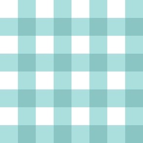 Sweet Mouse dreams  teal green gingham check 2 inch