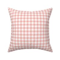 Sweet Mouse dreams pink gingham check 1 inch