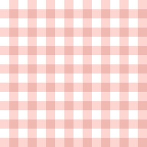 Sweet Mouse dreams pink gingham check 1 inch