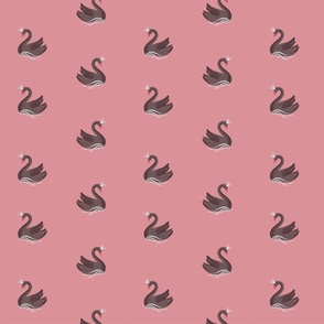 Royal Black swans  on rose pink background (small) 