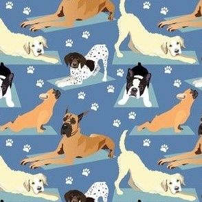 Yoga Dogs blue background with golden retriever, Boston terrier, shorthair dog, Frenchie dog