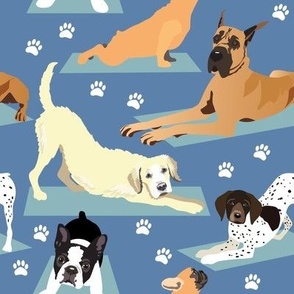 large scale // Yoga Dogs blue background with golden retriever, Boston terrier, shorthair dog, Frenchie dog