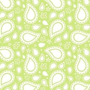 Small Scale Playful Paisley Bandana White on Honeydew