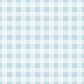 updated! 1 in - Gingham check white on light blue