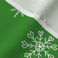 White Christmas Snowflakes On Green