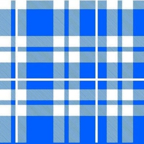 Large Scale Plaid Checker in White and Cobalt
