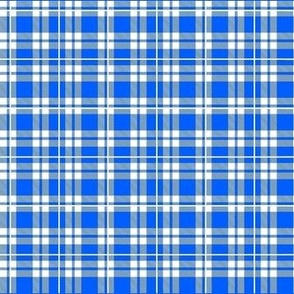 Small Scale Plaid Checker in White and Cobalt