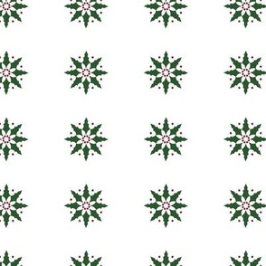 Christmas Holiday Holly on White Background