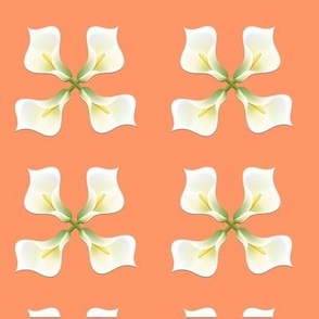 White gala flowers on orange  background