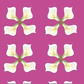 White gala flowers on pink  background
