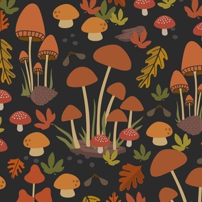 Colorful Autumn Mushroom Fairy Rings on Black