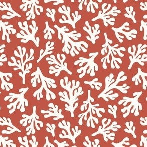 Coral on a coral background - medium size