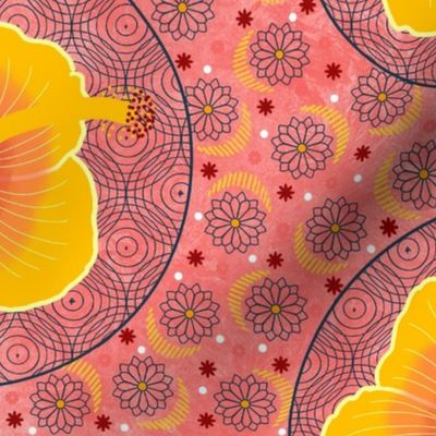 Hibiscus - coral