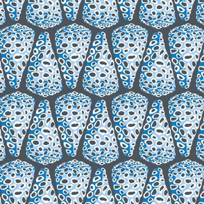 Cone shells / blue / jumbo