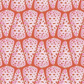 Cone shells / pink on red / jumbo