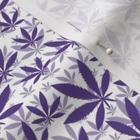 Smaller Scale Marijuana Cannabis Leaves Grape Purple on White