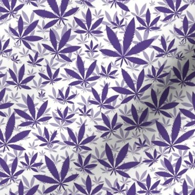 Smaller Scale Marijuana Cannabis Leaves Grape Purple on White