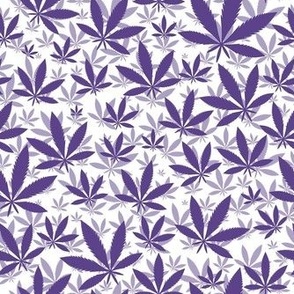 Smaller Scale Marijuana Cannabis Leaves Grape Purple on White