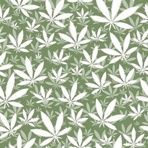 Smaller Scale Marijuana Cannabis Leaves White on Sage Green