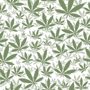Bigger Scale Marijuana Cannabis Leaves Sage Green on White