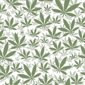 Smaller Scale Marijuana Cannabis Leaves Sage Green on White 