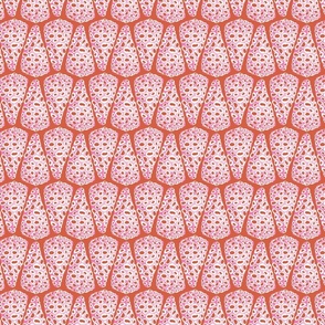 Cone shells / pink on red / large