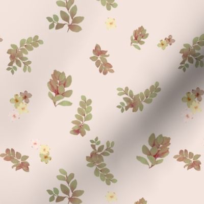 Leaves and wild flowers in pale rose background