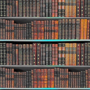 Antique Vintage  books on bookshelves 24” repeat Greys, orange and blues hues