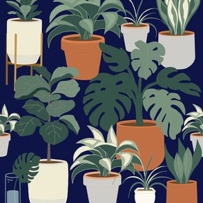 Planting happiness with houseplants