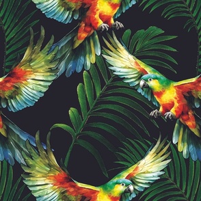 Parrots and Palms