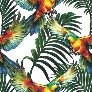 Parrots and Palms on White