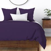 GRST6 - Dusty Rustic Violet  Solid - hex code 412d52