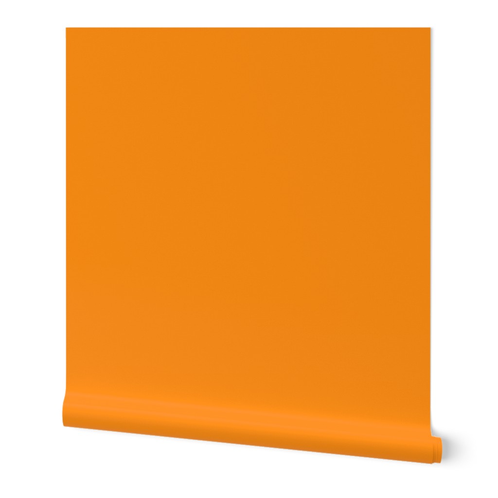  Vivid Pumpkin Orange Solid - hex ff9015