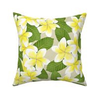 Yellow Tropical Plumeria Frangipani Flowers Sand Beige