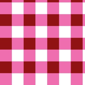 Pink and Red Gingham