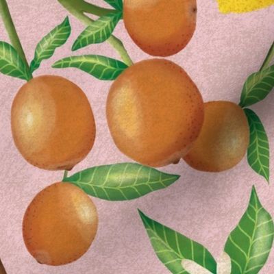 (Size Large) art nouveau citrus fruits and  branches on textured blush pink 