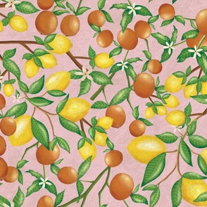 (Size Large) art nouveau citrus fruits and  branches on textured blush pink 