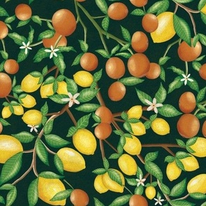 (size small) art nouveau citrus fruits and branches on textured smoky green background 